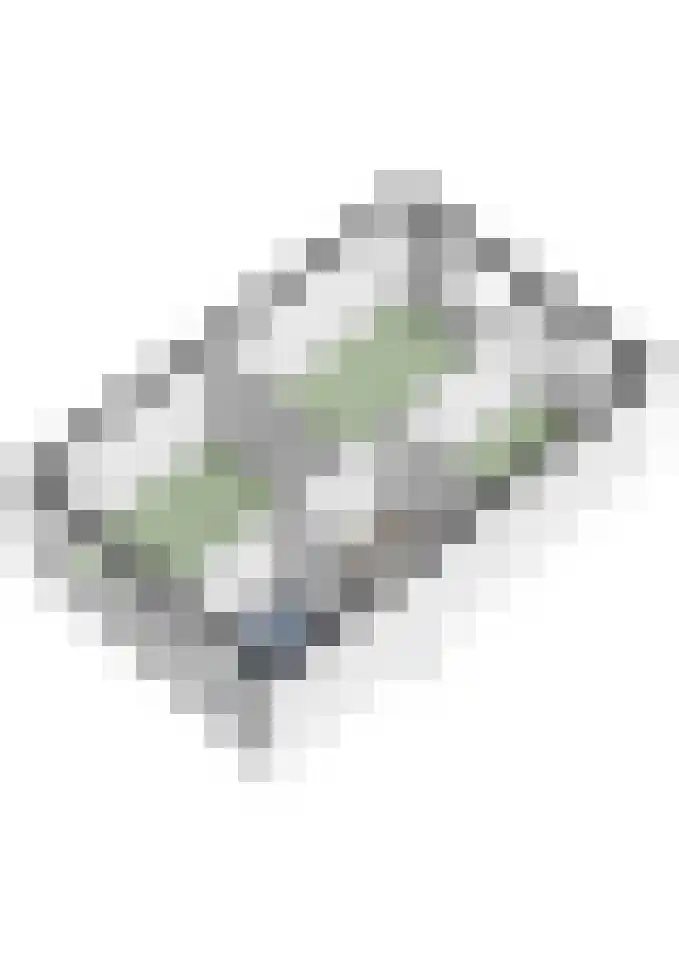 Brandebeemd 19 Breda thumbnail 47