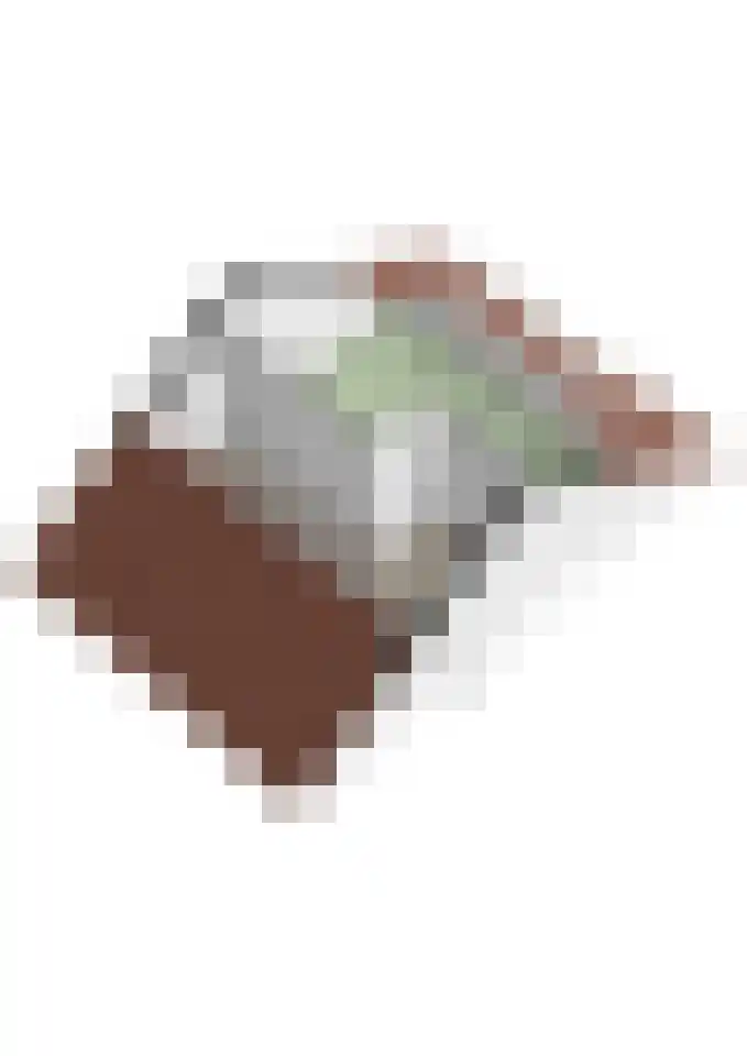 Brandebeemd 19 Breda thumbnail 48
