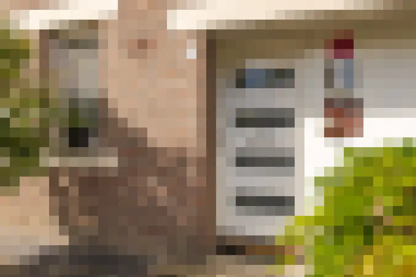 Brandebeemd 19 Breda thumbnail 5