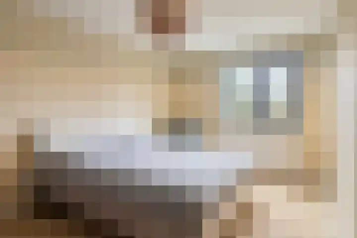 Brandebeemd 47 Breda thumbnail 15