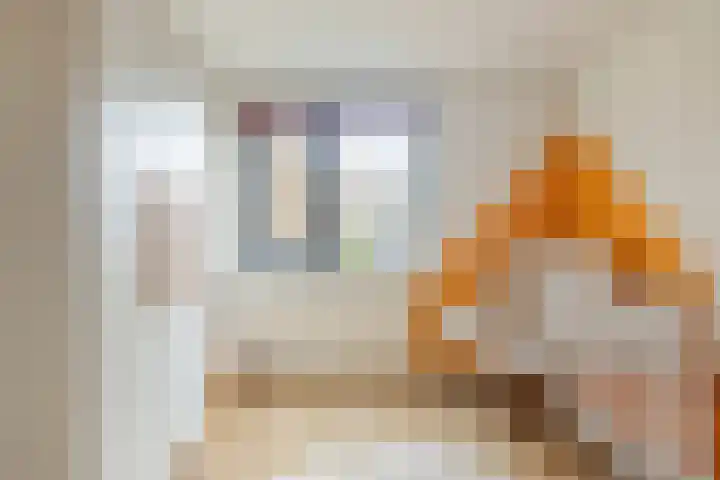 Brandebeemd 47 Breda thumbnail 17
