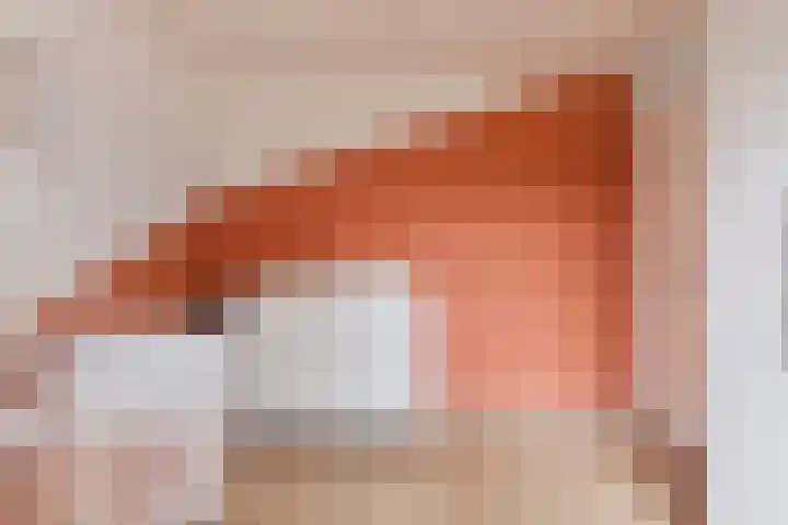 Brandebeemd 47 Breda thumbnail 18