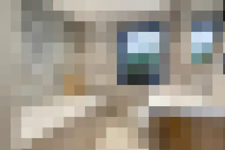 Brandebeemd 47 Breda thumbnail 21