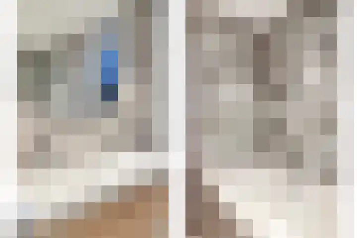 Brandebeemd 47 Breda thumbnail 22