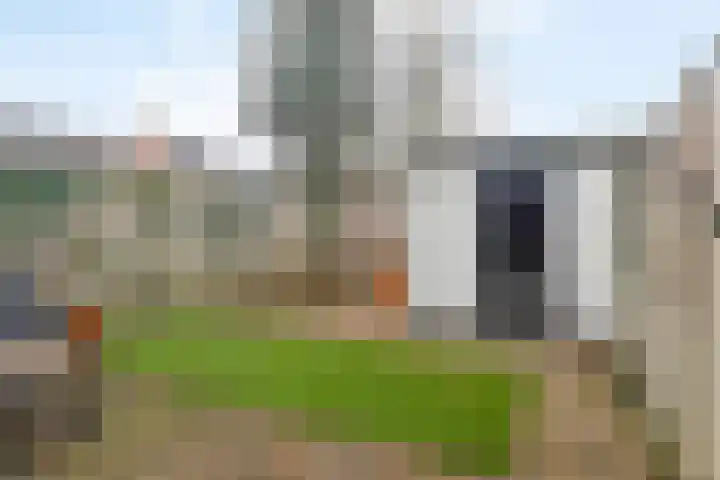 Brandebeemd 47 Breda thumbnail 26