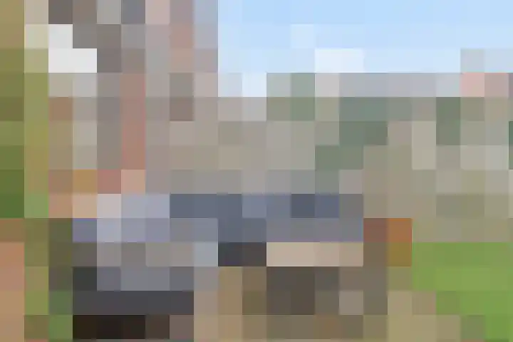 Brandebeemd 47 Breda thumbnail 27