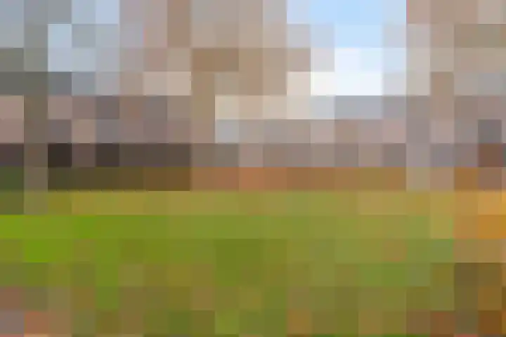 Brandebeemd 47 Breda thumbnail 29