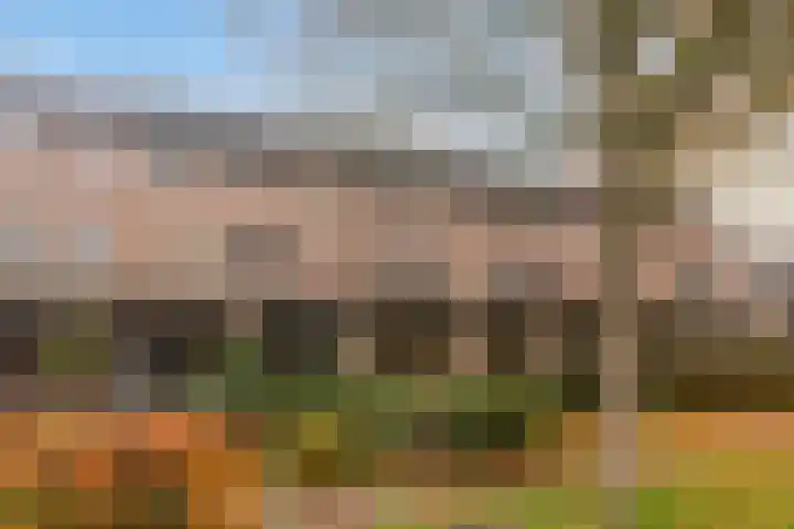 Brandebeemd 47 Breda thumbnail 30
