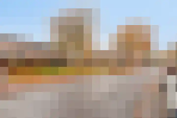 Brandebeemd 47 Breda thumbnail 31