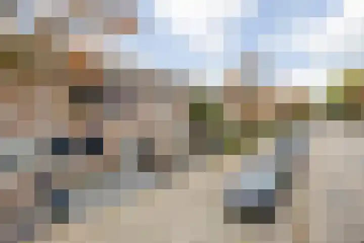 Brandebeemd 70 Breda thumbnail 10