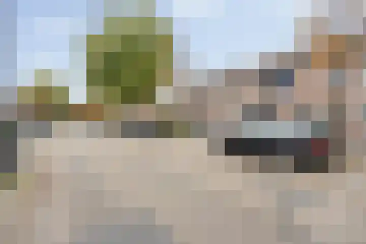 Brandebeemd 70 Breda thumbnail 11
