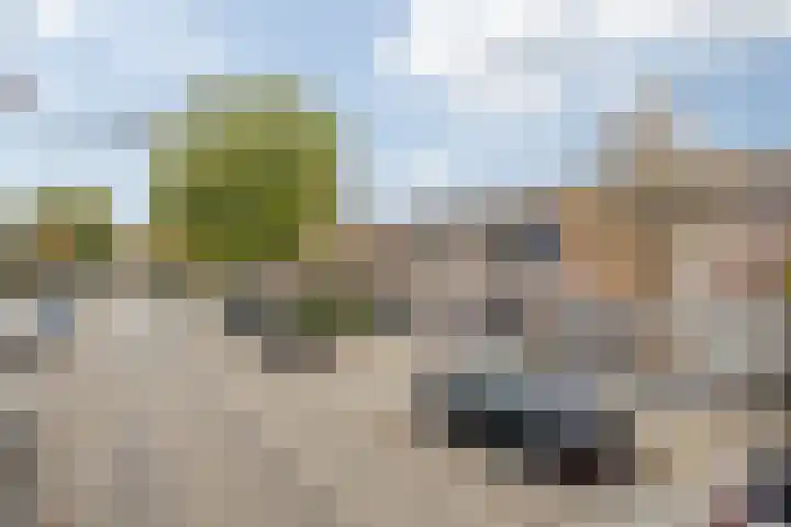 Brandebeemd 70 Breda thumbnail 12