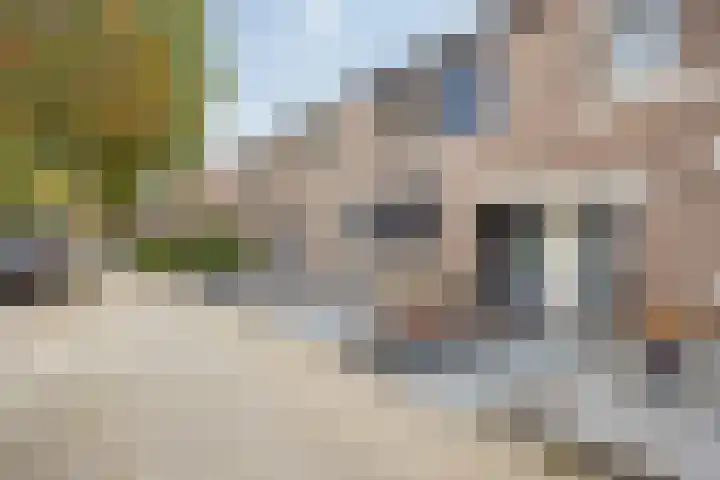 Brandebeemd 70 Breda thumbnail 13