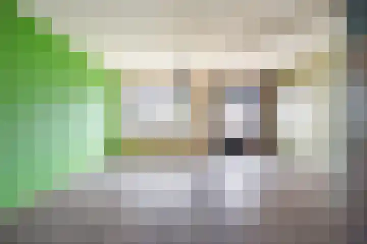 Brandebeemd 70 Breda thumbnail 21
