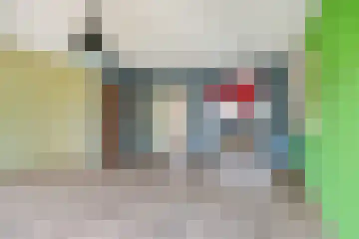 Brandebeemd 70 Breda thumbnail 22