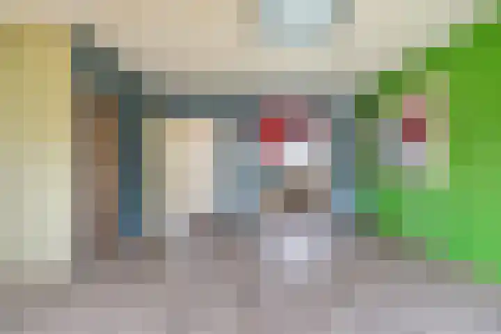 Brandebeemd 70 Breda thumbnail 23