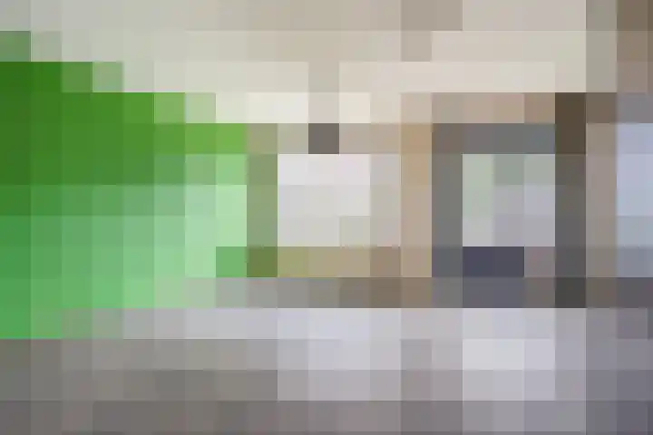 Brandebeemd 70 Breda thumbnail 24
