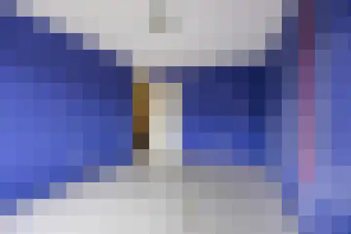 Brandebeemd 70 Breda thumbnail 31