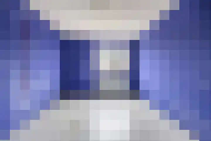 Brandebeemd 70 Breda thumbnail 33
