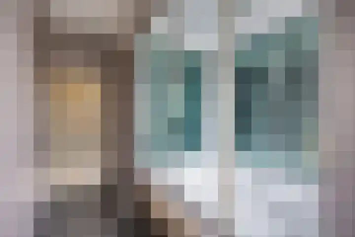 Brandebeemd 70 Breda thumbnail 40