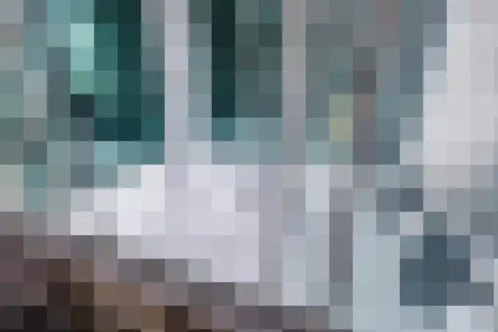 Brandebeemd 70 Breda thumbnail 42