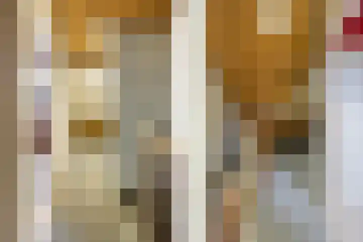 Brandebeemd 70 Breda thumbnail 46
