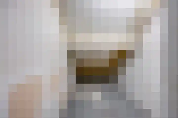 Brandebeemd 70 Breda thumbnail 47
