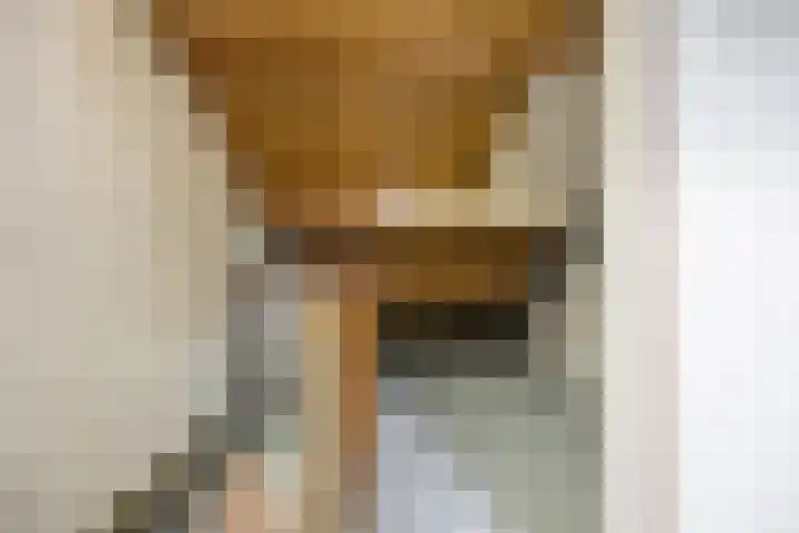 Brandebeemd 70 Breda thumbnail 48