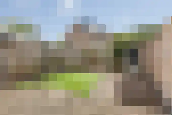 Brandebeemd 70 Breda thumbnail 53