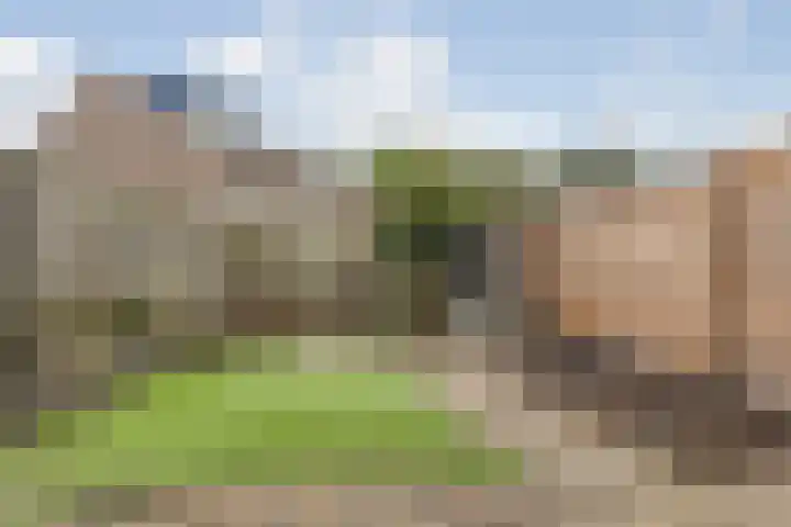 Brandebeemd 70 Breda thumbnail 54
