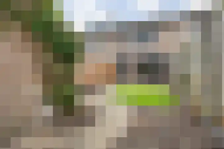 Brandebeemd 70 Breda thumbnail 55