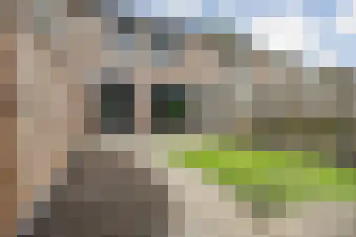 Brandebeemd 70 Breda thumbnail 56