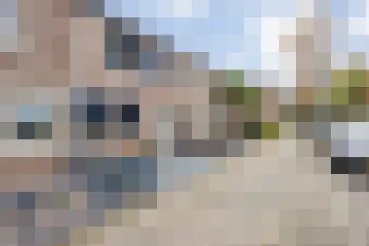 Brandebeemd 70 Breda thumbnail 8