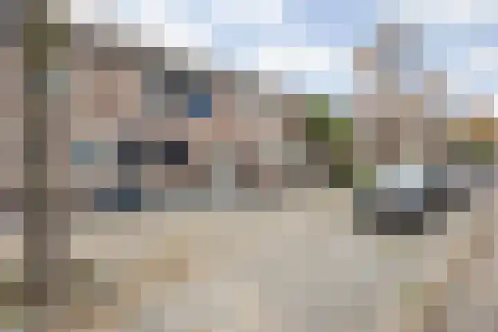Brandebeemd 70 Breda thumbnail 9