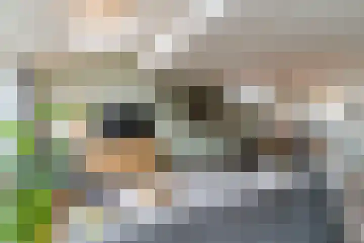 Brandebeemd 76 Breda thumbnail 10