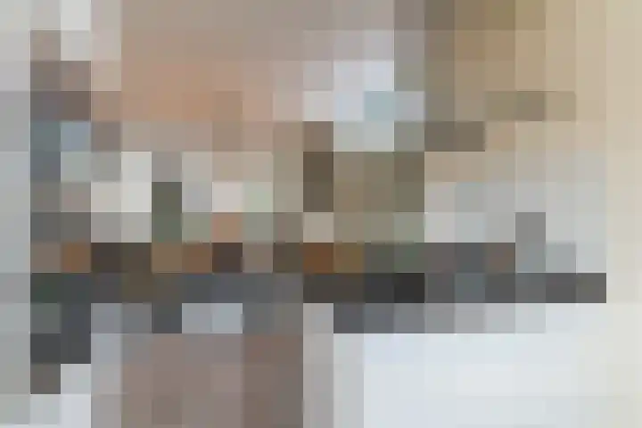 Brandebeemd 76 Breda thumbnail 12