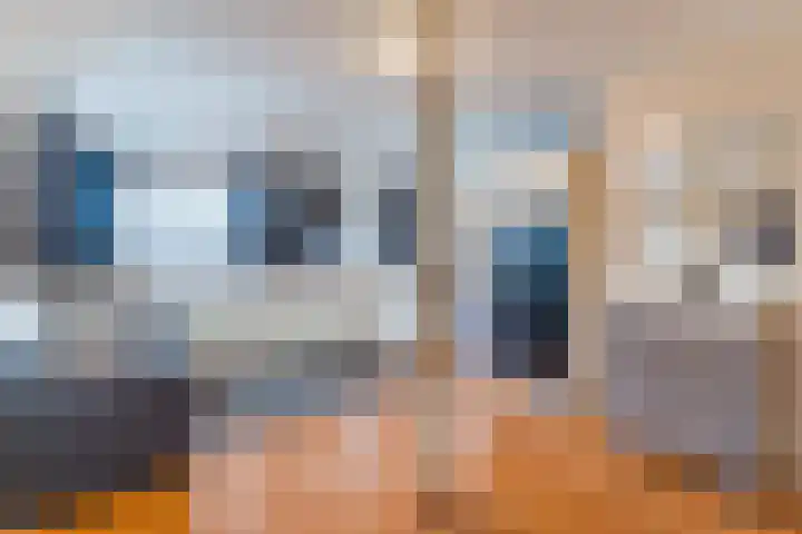 Brandebeemd 76 Breda thumbnail 22