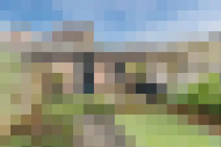 Brandebeemd 76 Breda thumbnail 29
