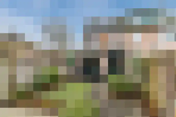 Brandebeemd 76 Breda thumbnail 30