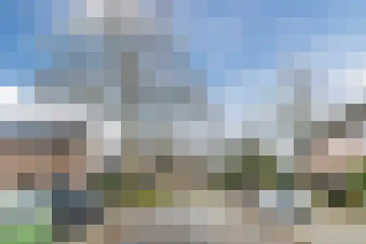 Brandebeemd 76 Breda thumbnail 33