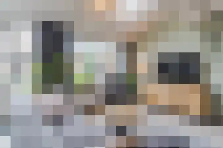 Brandebeemd 76 Breda thumbnail 9