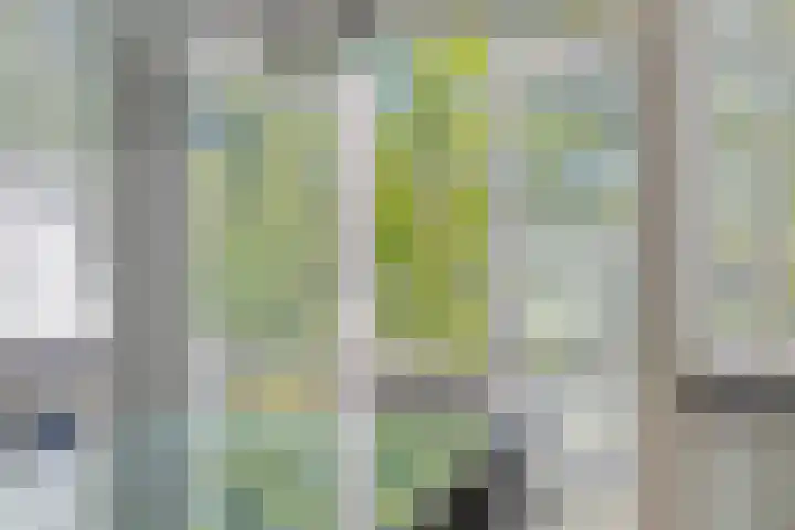 Brandehoflanden 18 Enschede thumbnail 10