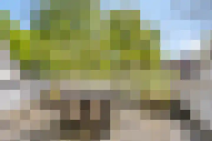 Brandehoflanden 18 Enschede thumbnail 11