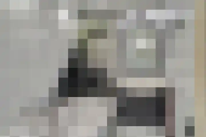 Brandehoflanden 18 Enschede thumbnail 18