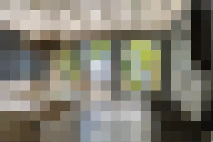 Brandehoflanden 18 Enschede thumbnail 20