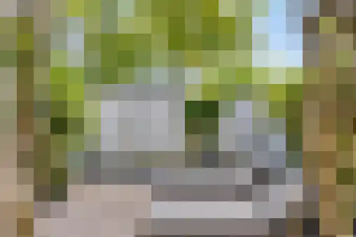 Brandehoflanden 18 Enschede thumbnail 22