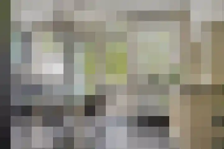 Brandehoflanden 18 Enschede thumbnail 6