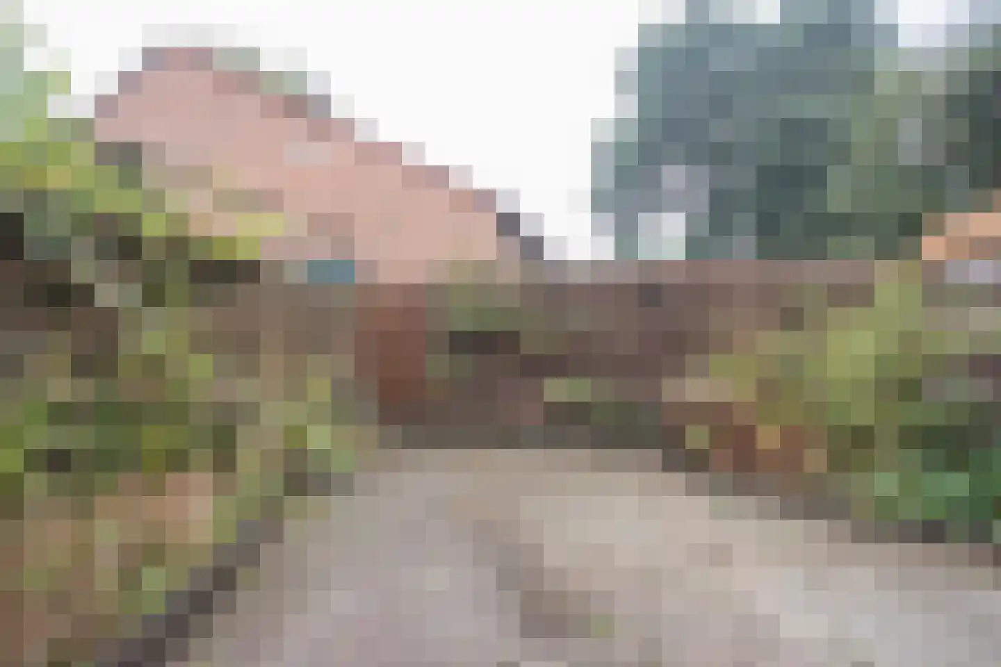 Brandemaat 103 Meppel thumbnail 34