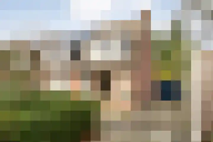 Brandemaat 115 Meppel