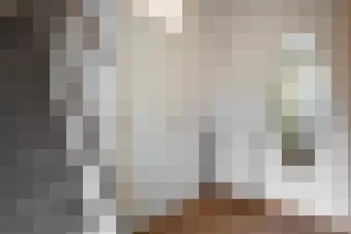 Brandemaat 115 Meppel thumbnail 11